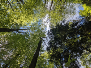 gallery/pxl_20220503_120710573