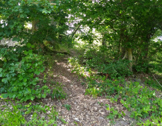 gallery/img_20190615_154814424_liegend