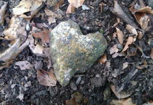 gallery/img_20180915_175926599_bearb